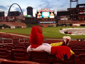 fredbird